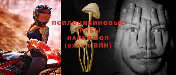 apvp Богородицк