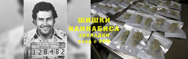 apvp Богородицк