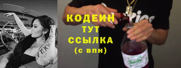 spice Богородск