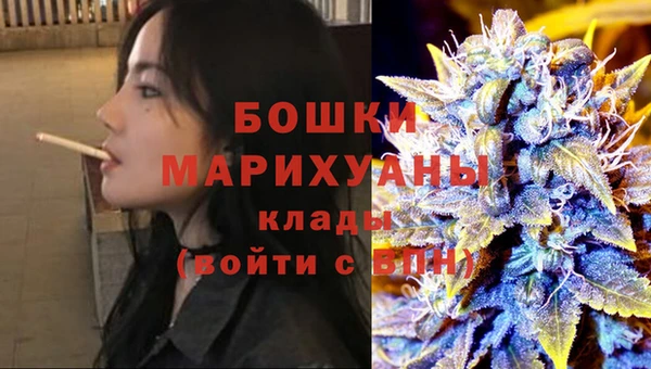 spice Богородск