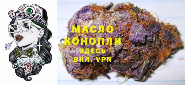 spice Богородск