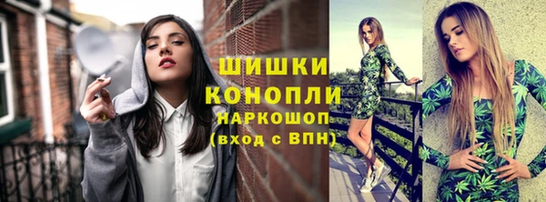 spice Богородск