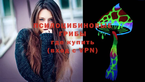 spice Богородск