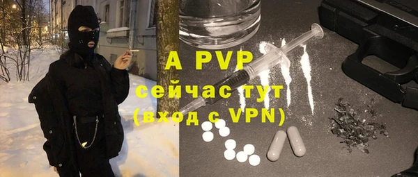 apvp Богородицк