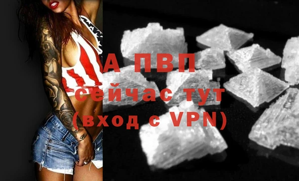 apvp Богородицк