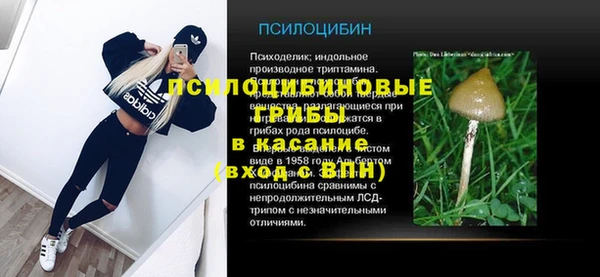 spice Богородск