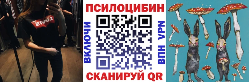 Купить  Кунгур  Псилоцибиновые грибы Psilocybe 